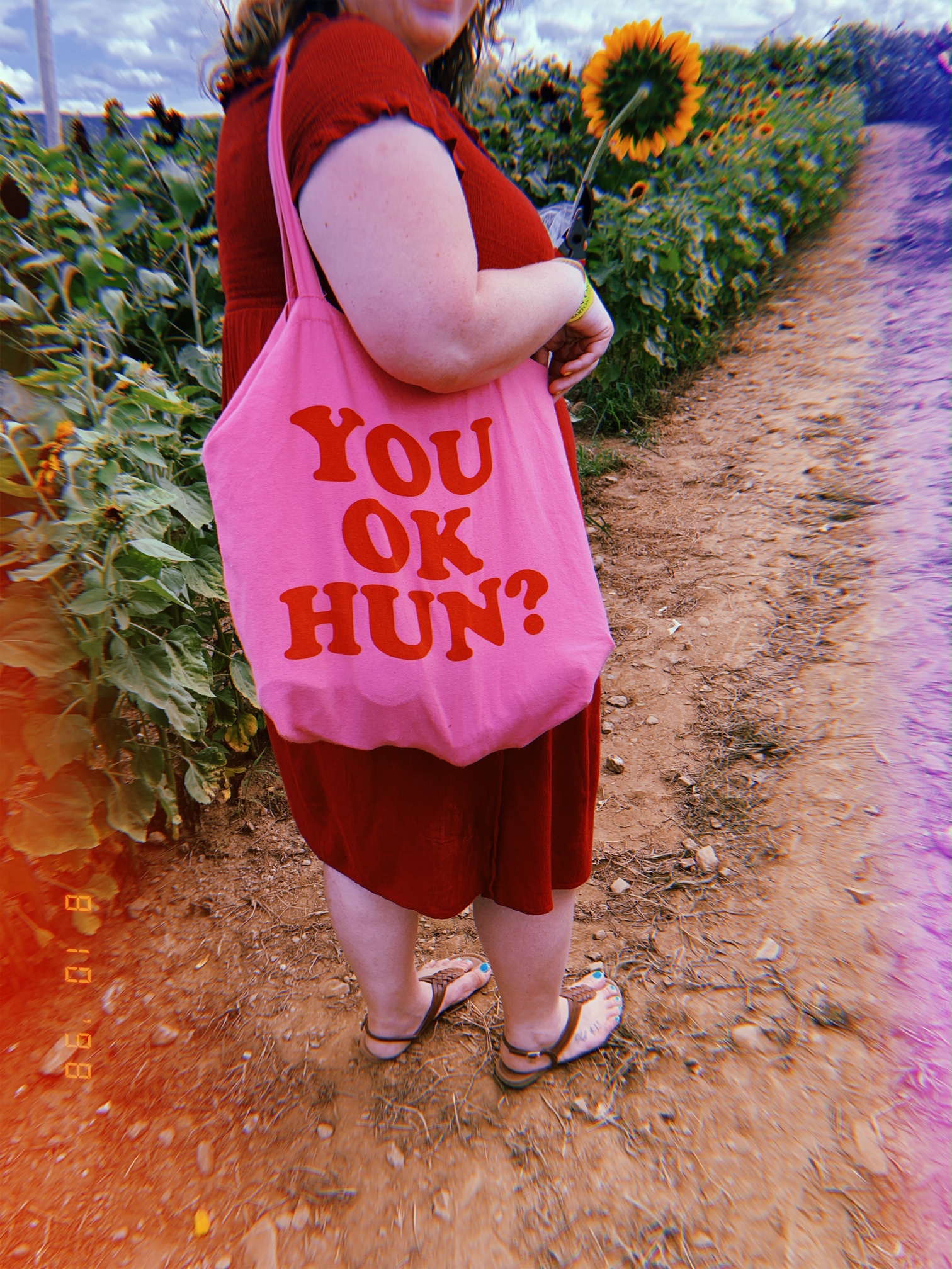 Sunflower Festival at Barton Orchards 2019 2020 Chellemua