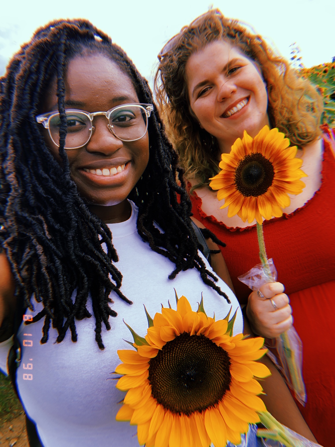 Sunflower Festival at Barton Orchards 2019 2020 Chellemua